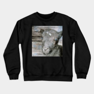 Lambkin | Cute lamb Crewneck Sweatshirt